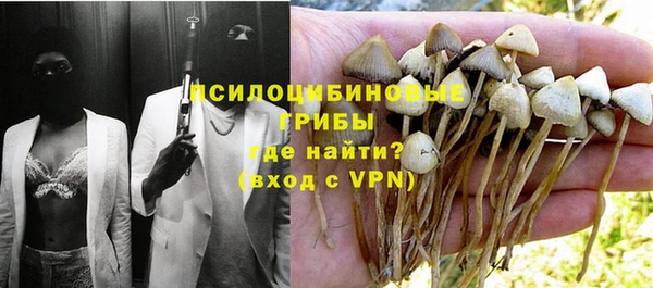первитин Дмитров