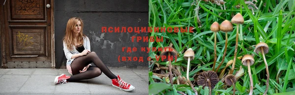 первитин Дмитров