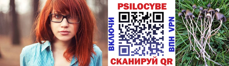 Купить закладки  Карпинск  Псилоцибиновые грибы мухоморы 